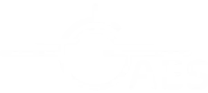 GAES - GULF AIRCRAFT & ENGINEERING SERVICES (FZE)